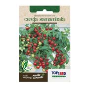 Sementes de Tomate Cereja Samambaia Tradicional Topseed Garden