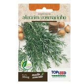 Sementes de Alecrim Rosmarinho Tradicional Topseed Garden