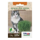 Sementes de Grama dos Gatos Tradicional Topseed Garden