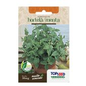 Sementes de Hortelã Tradicional Topseed Garden