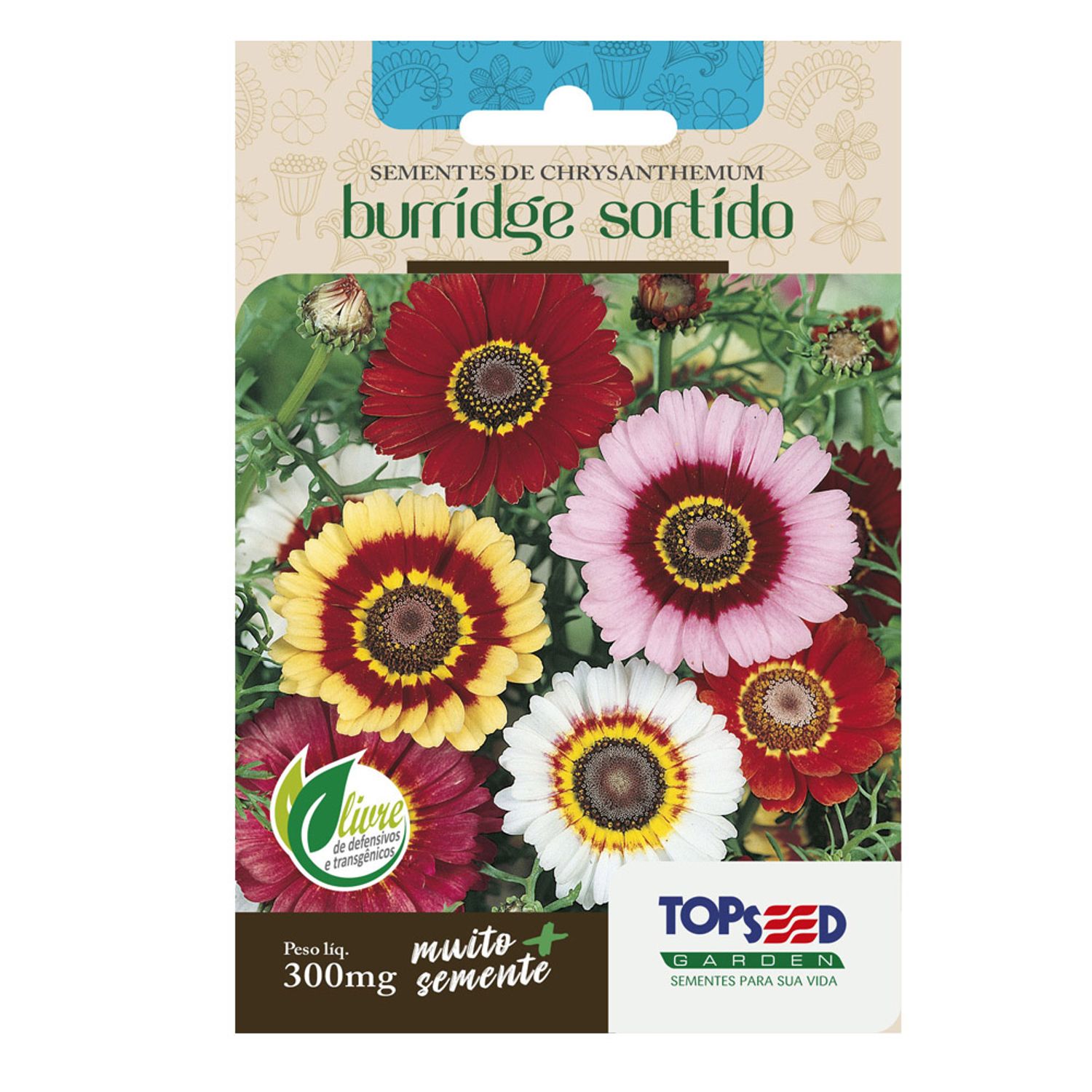 Semente Chryanthemum Burridge Sortido Topseed Garden