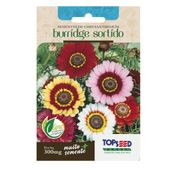 Sementes de Chryanthemum Burridge Sortido Tradicional Topseed Garden