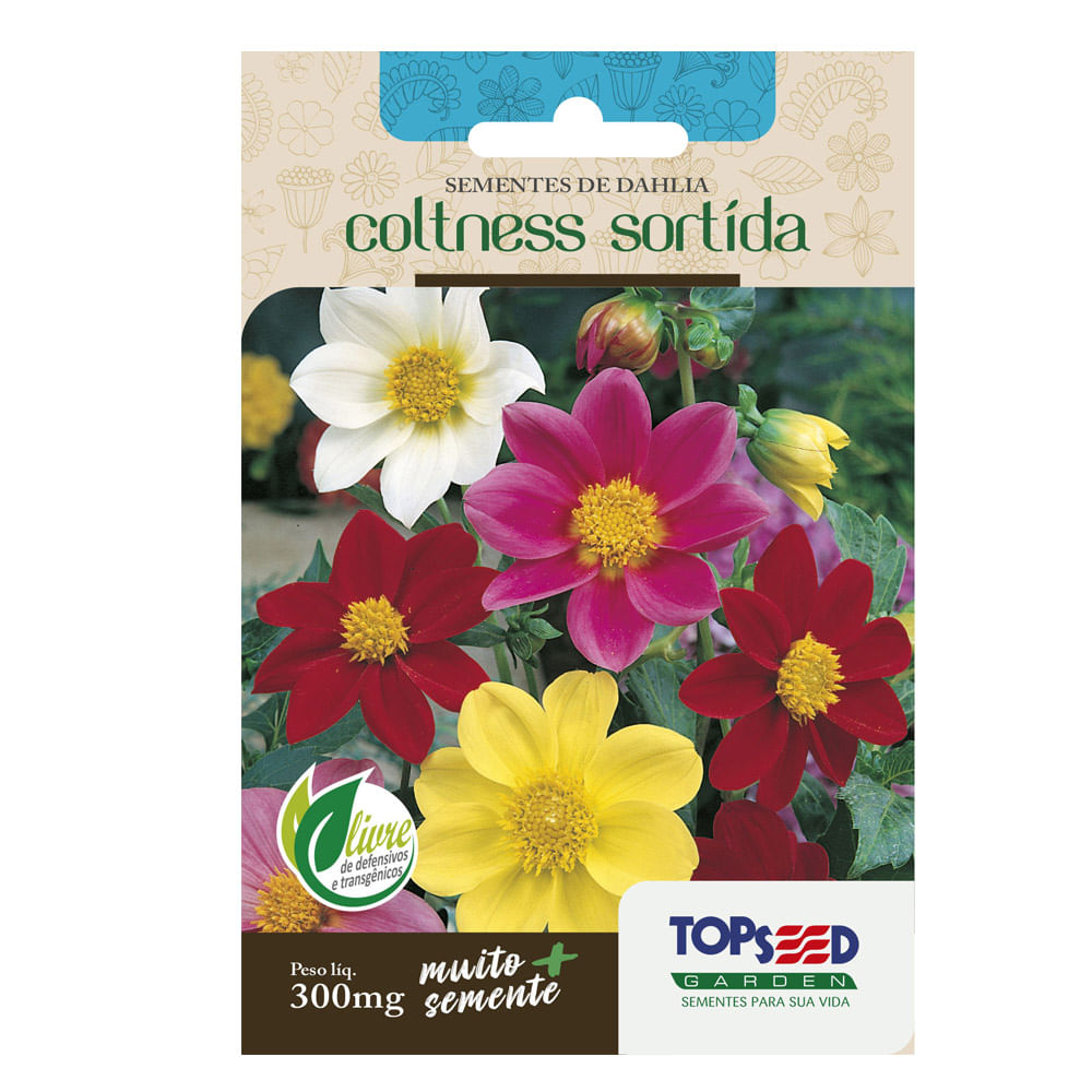 Semente Dahlia Coltness Sortida Topseed Garden tem fácil modo de plantio |  Cobasi