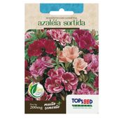 Sementes de Godetia Azáleia Sortida Tradicional Topseed Garden