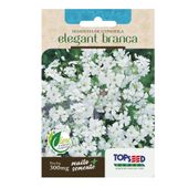 Sementes de Gypsofila Elegant Branca Tradicional Topseed Garden