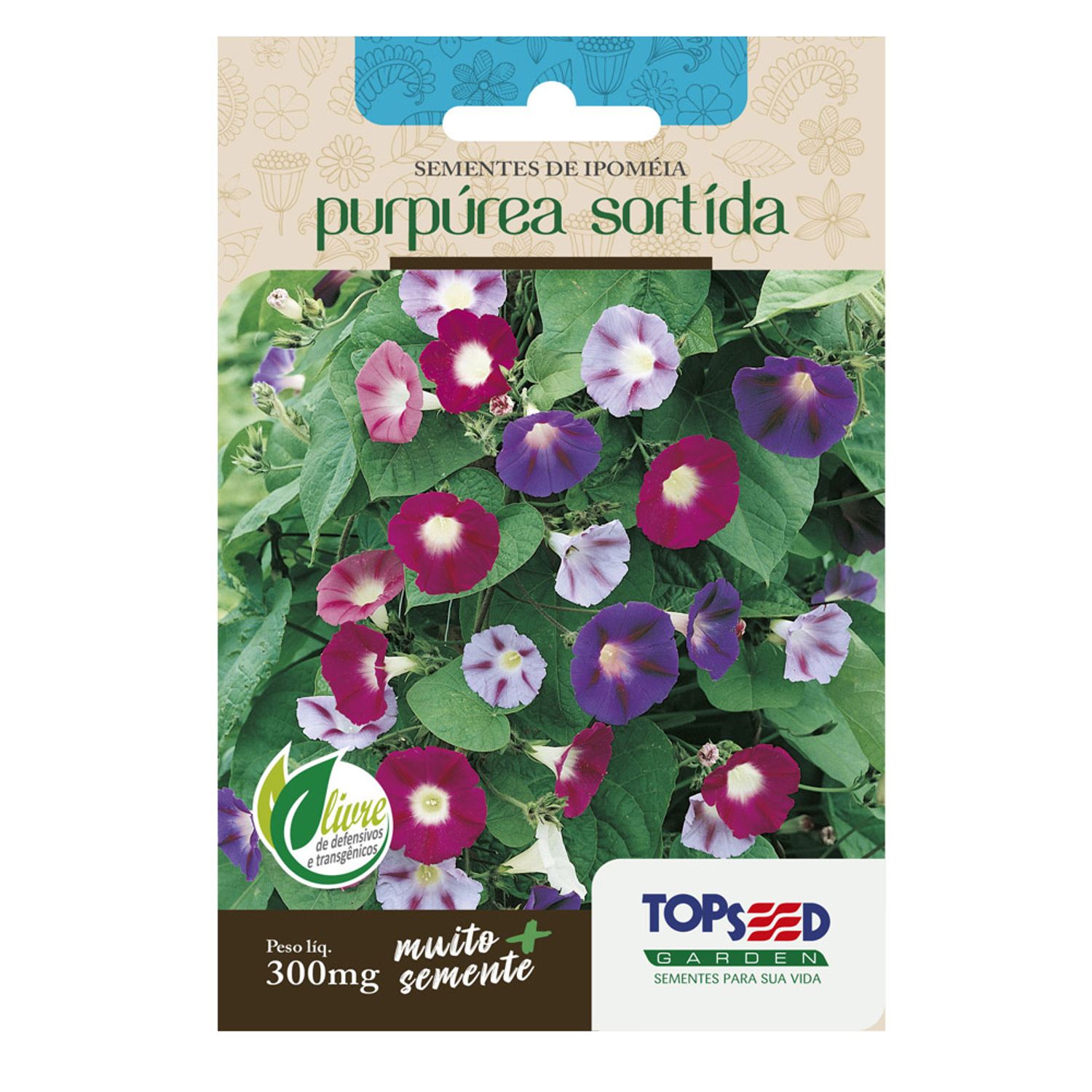 Semente Ipomeia Purpurea Sortida Topseed Garden