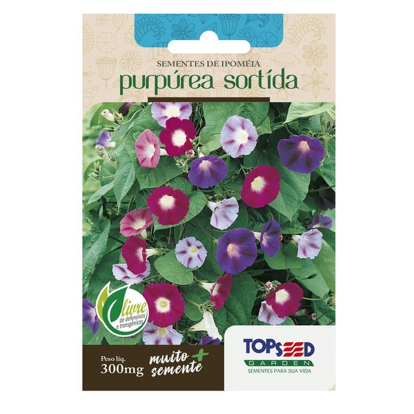 Sementes de Ipomeia Purpúrea Sortida Tradicional Topseed Garden Único