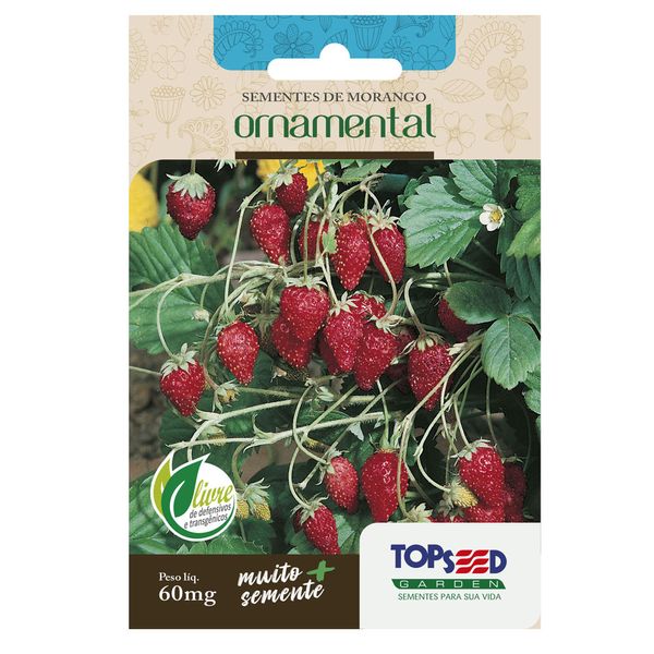 Sementes de Morango Ornamental Tradicional Topseed Garden Único