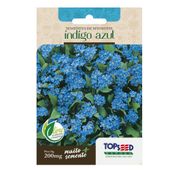 Sementes de Myosotis Indigo Azul Tradicional Topseed Garden