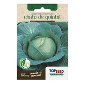 Sementes de Repolho Chato de Quintal Tradicional Topseed Garden