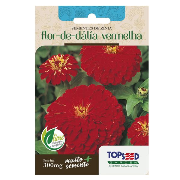 Sementes de Zínia Flor de Dália Vermelha Tradicional Topseed Garden Único