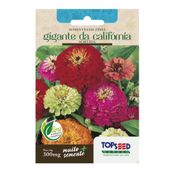 Sementes de Zínia Gigante Califórnia Sortida Tradicional Topseed Garden