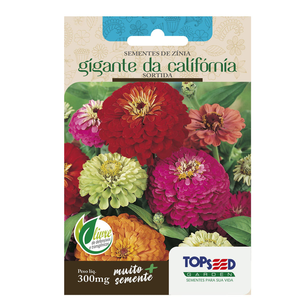 Sementes de Zínia Gigante Califórnia Sortida Tradicional Topseed Garden