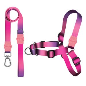 Kit Guia Premium + Peitoral Antipuxão Peniche Dog Trip Brasil