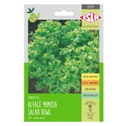 Semente Isla Superpak Alface Mimosa Salad Bowl