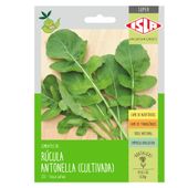 Semente Isla Superpak Rúcula Antonella Cultivada