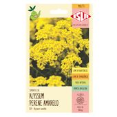 Semente Isla Alyssum Saxatile Amarelo Perene