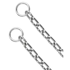 Corrente Enforcador Cães Grandes São Pet