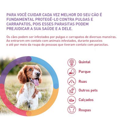 Antipulgas Bravecto Transdermal 1000mg Cães 20 a 40kg - Pet Entrega