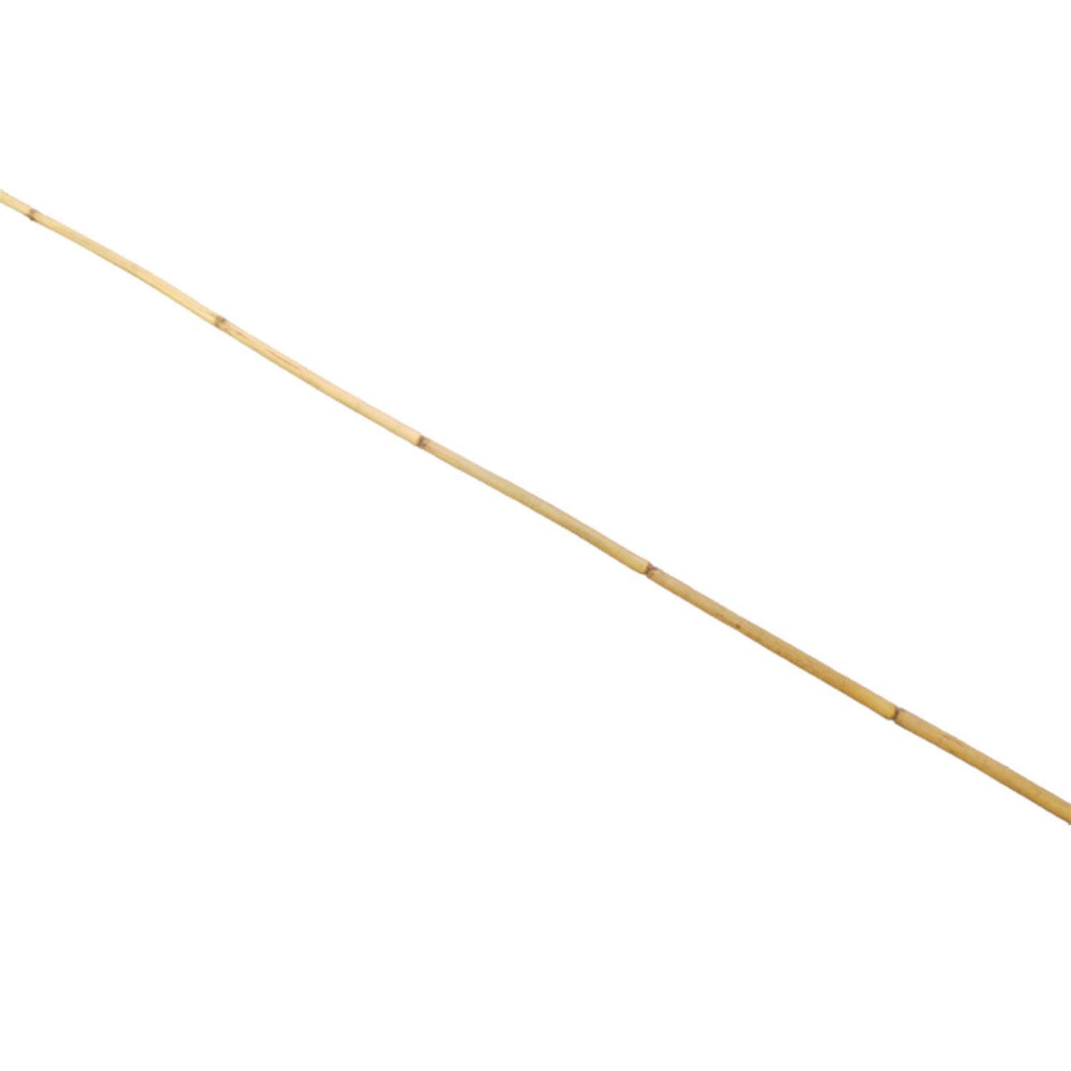 Tutor-de-Bambu-Top-Garden-7898464260503-copia