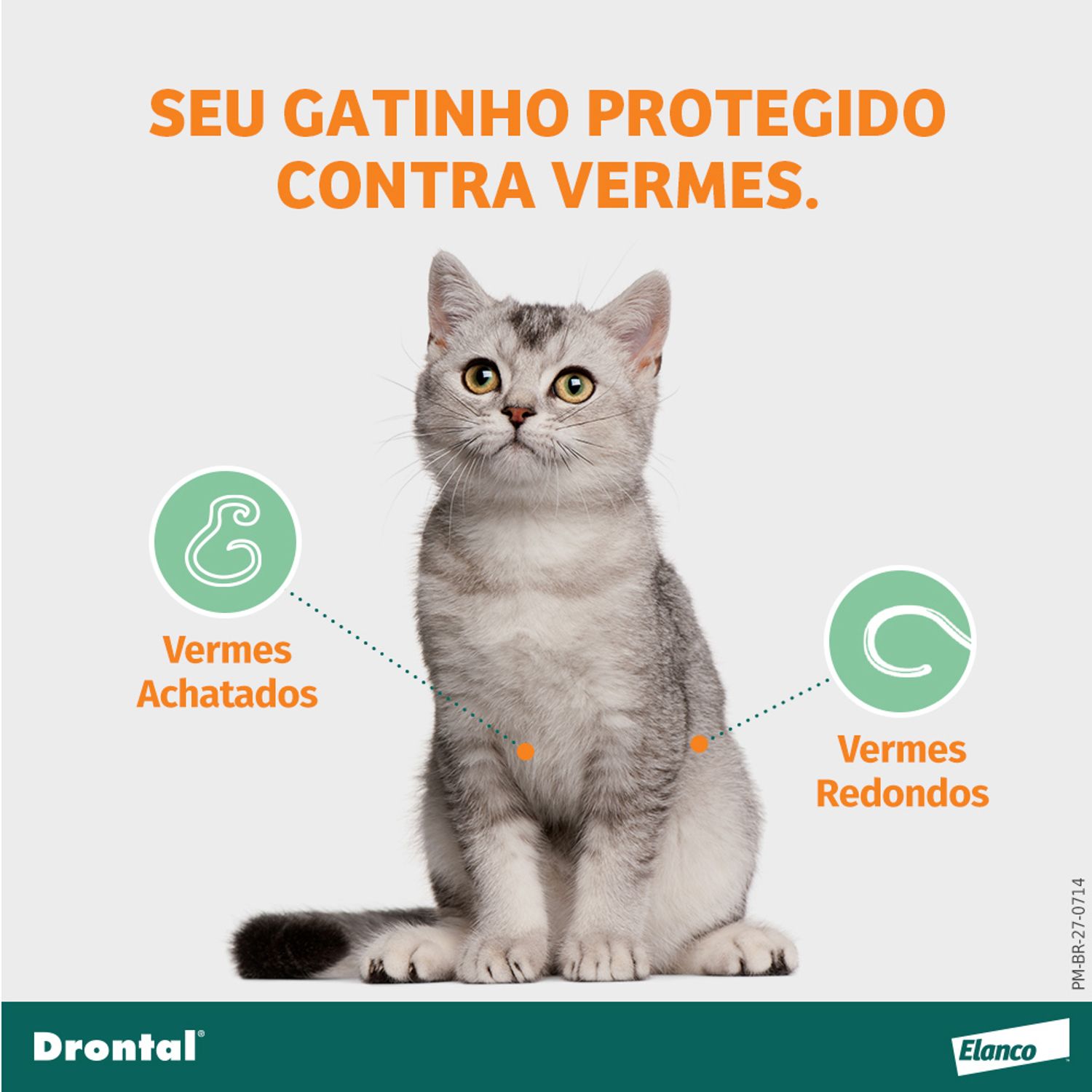 Vermífugo para Gatos Drontal Spot On Protege contra vermes