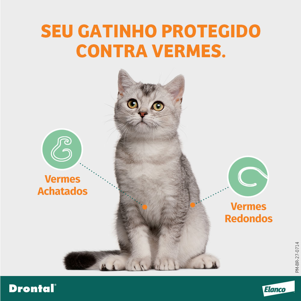 Vermífugo Drontal Spot On para Gatos 5kg a 8kg