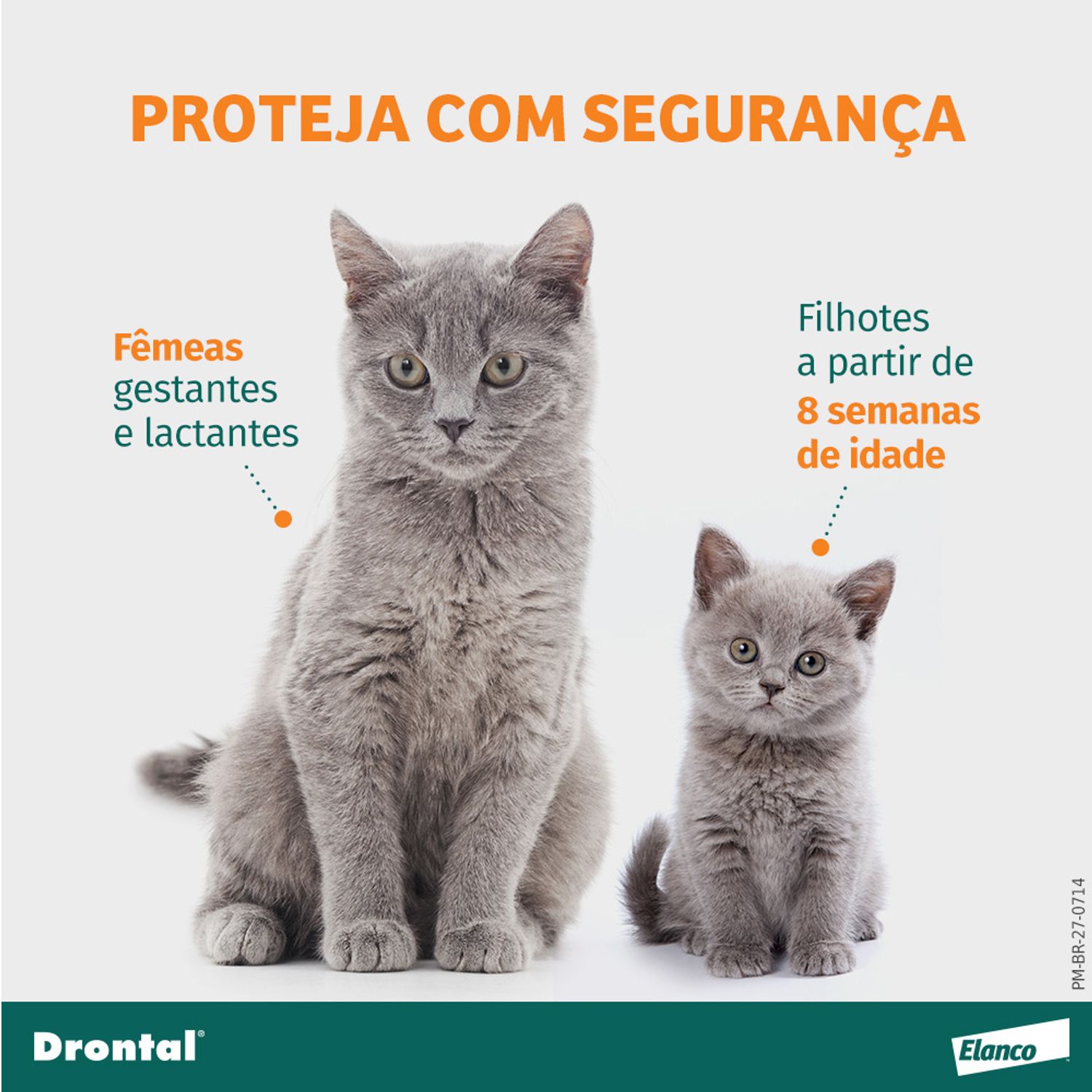 Vermífugo para Gatos Drontal Spot On Seguro para filhotes e fêmeas também