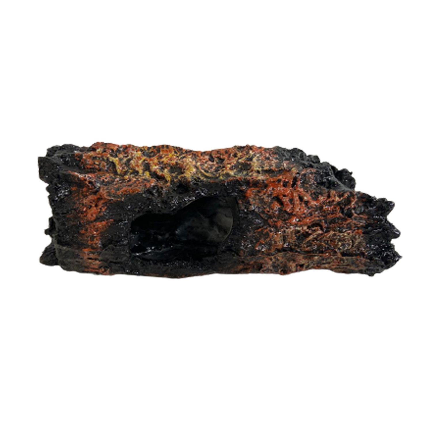 tronco-ornamental-lester-3877441