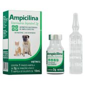 Ampicilina Injetável 2g