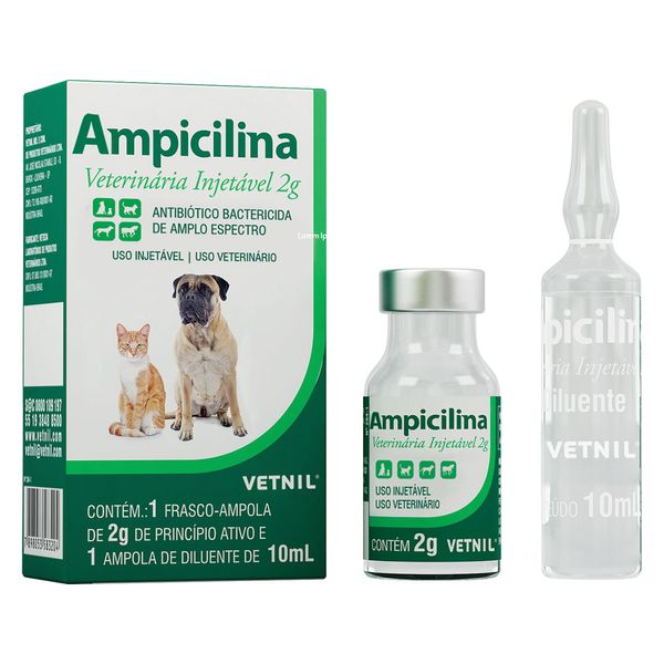Ampicilina Injetável Antibiótico Bactericida 2 g