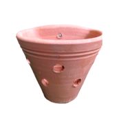 Vaso Parede Orquídea Vasos Tupã