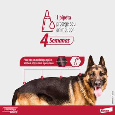 Antipulgas Advantage Max3 Cães mais de 25kg - quatro semanas de proteção