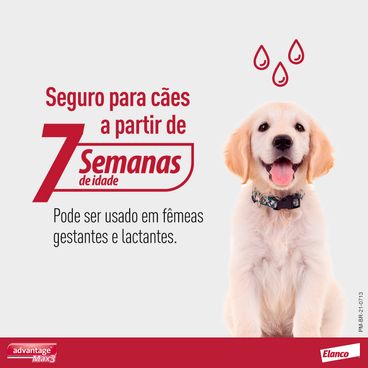 Antipulgas Advantage Max3 Cães mais de 25kg - seguro para cães a partir de 7 semanas