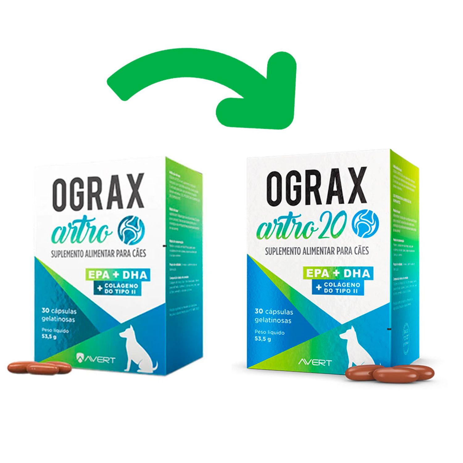 Ograx Artro 20 Nova Embalagem