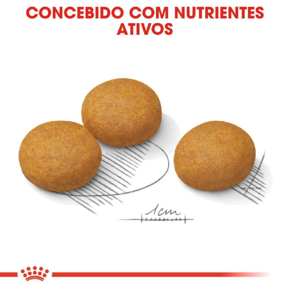 Ração Royal Canin Maxi Dermacomfort Cães Adultos e Idosos