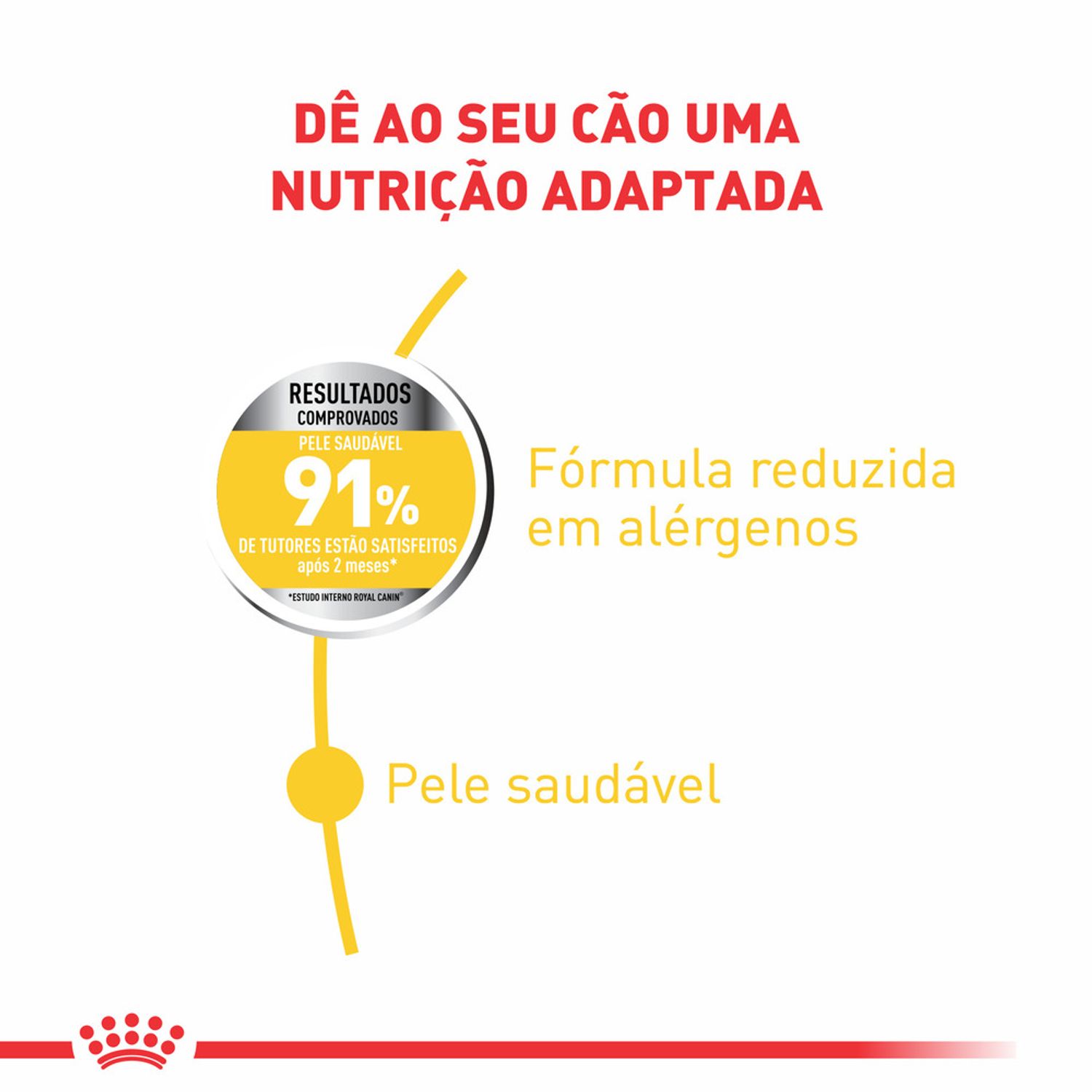 ração royal canin medium dermacomfort cães adultos e idosos benefícios