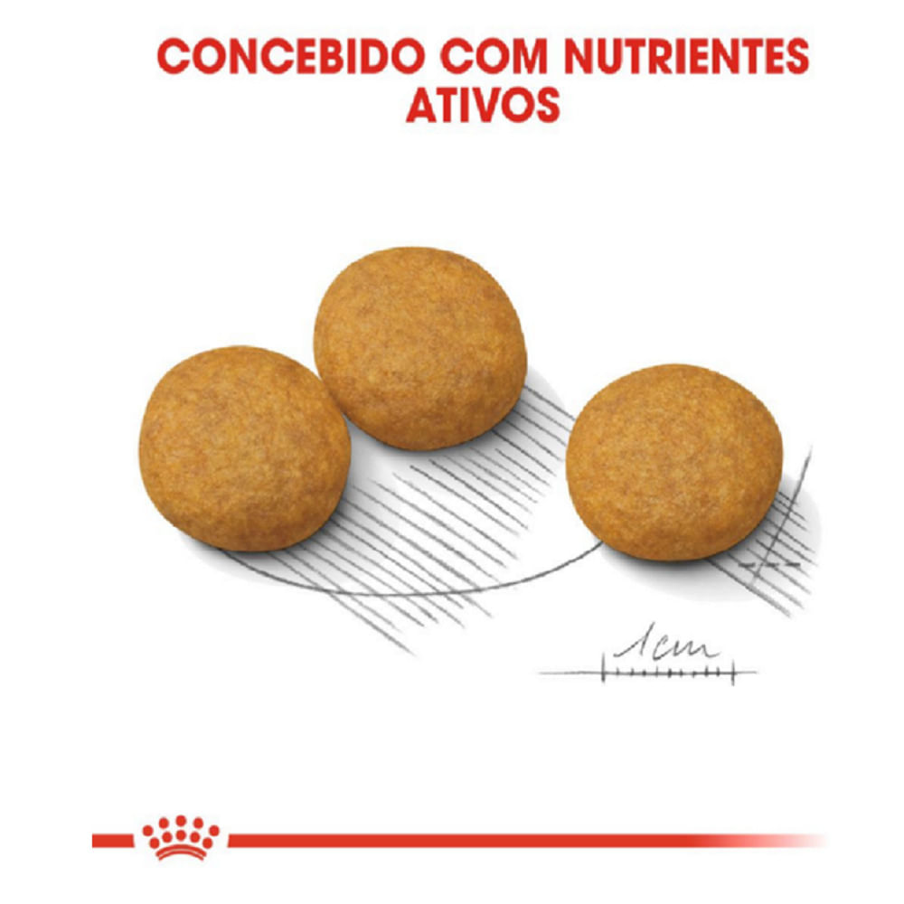 Ração Royal Canin Medium Dermacomfort Cães Adultos e Idosos