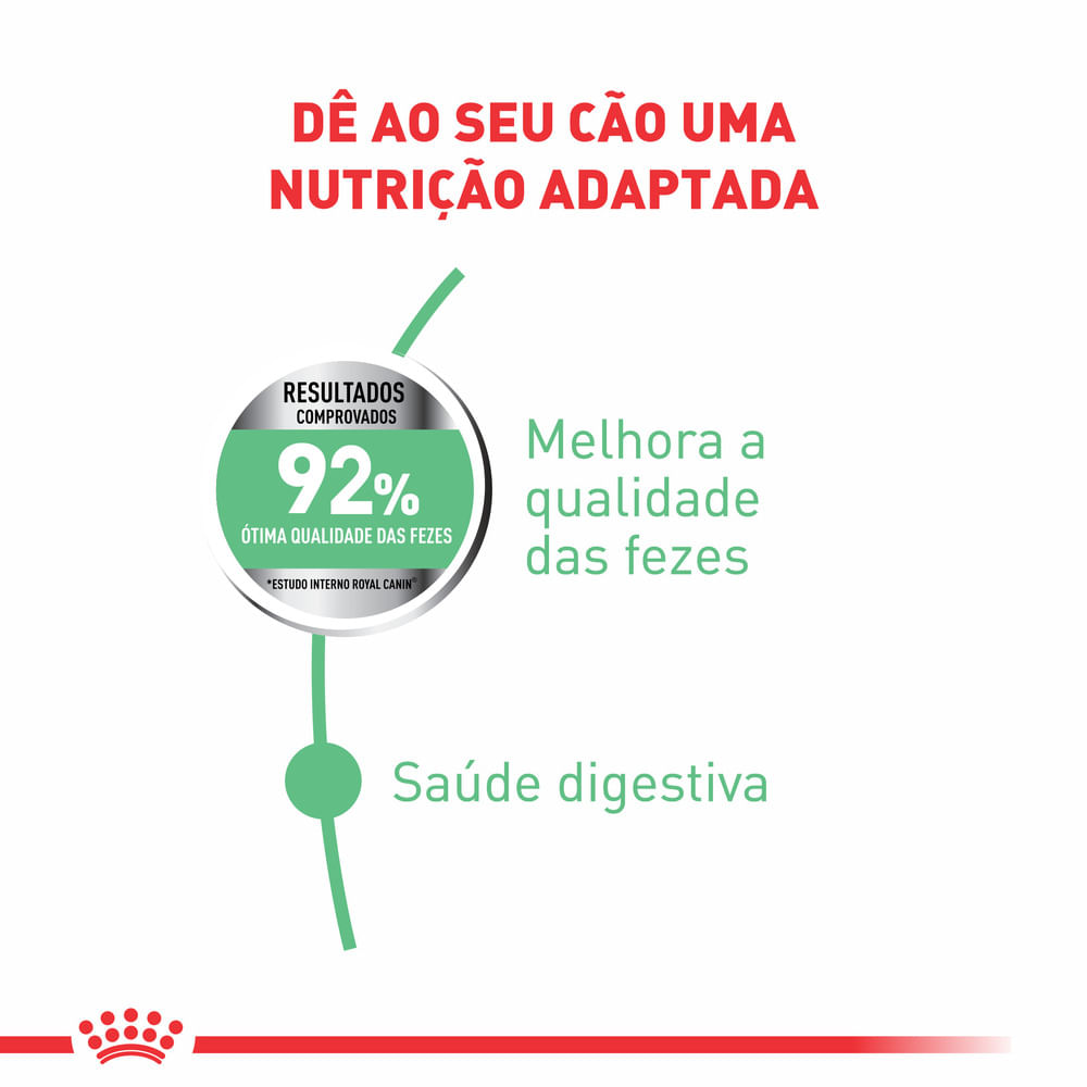 Ração Royal Canin Cuidado Digestivo Cães Adultos Porte Mini