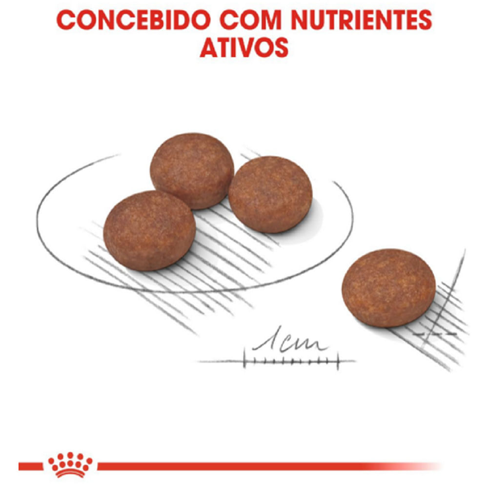 Ração Royal Canin Cuidado Digestivo Cães Adultos Porte Mini