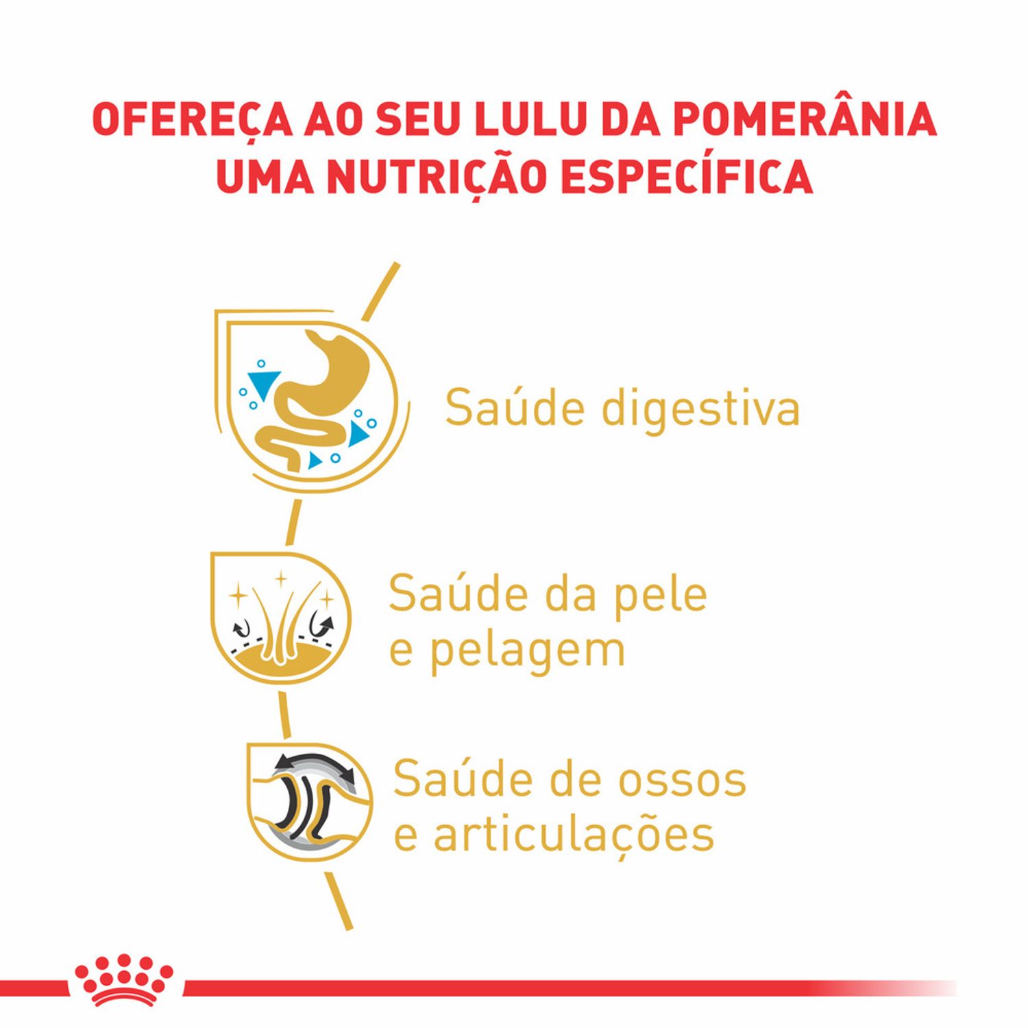 Racao-Umida-Royal-Canin-Sache-Pomeranian-Caes-Adultos-Beneficios