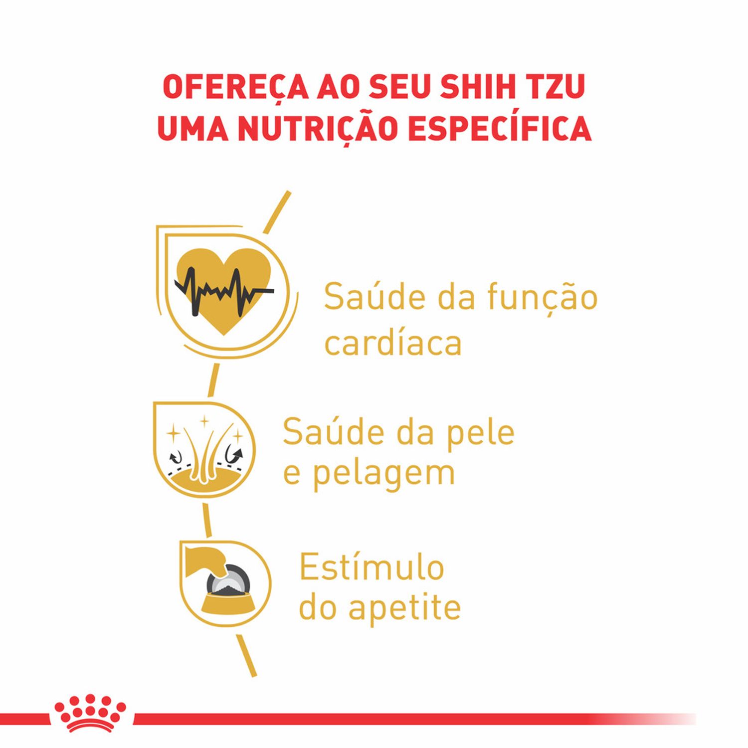 Racao-Umida-Royal-Canin-Shih-Tzu-Caes-Adultos-Beneficios