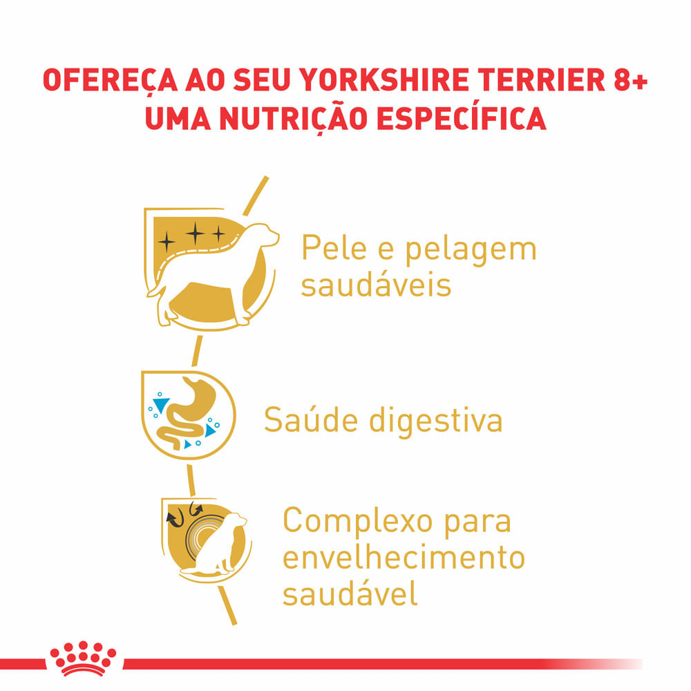 Ração Royal Canin Cães Adultos 8+ Yorkshire