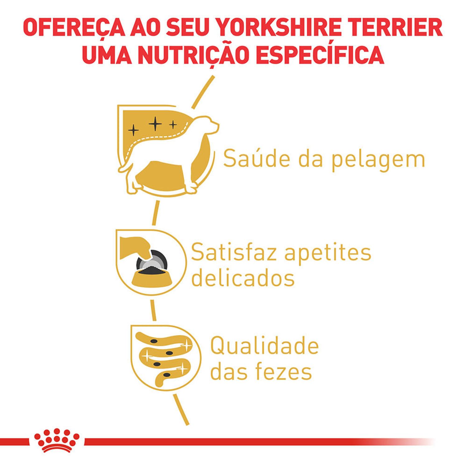 Racao-Umida-Royal-Canin-Sache-Caes-Adultos-Yorkshire-Beneficios-