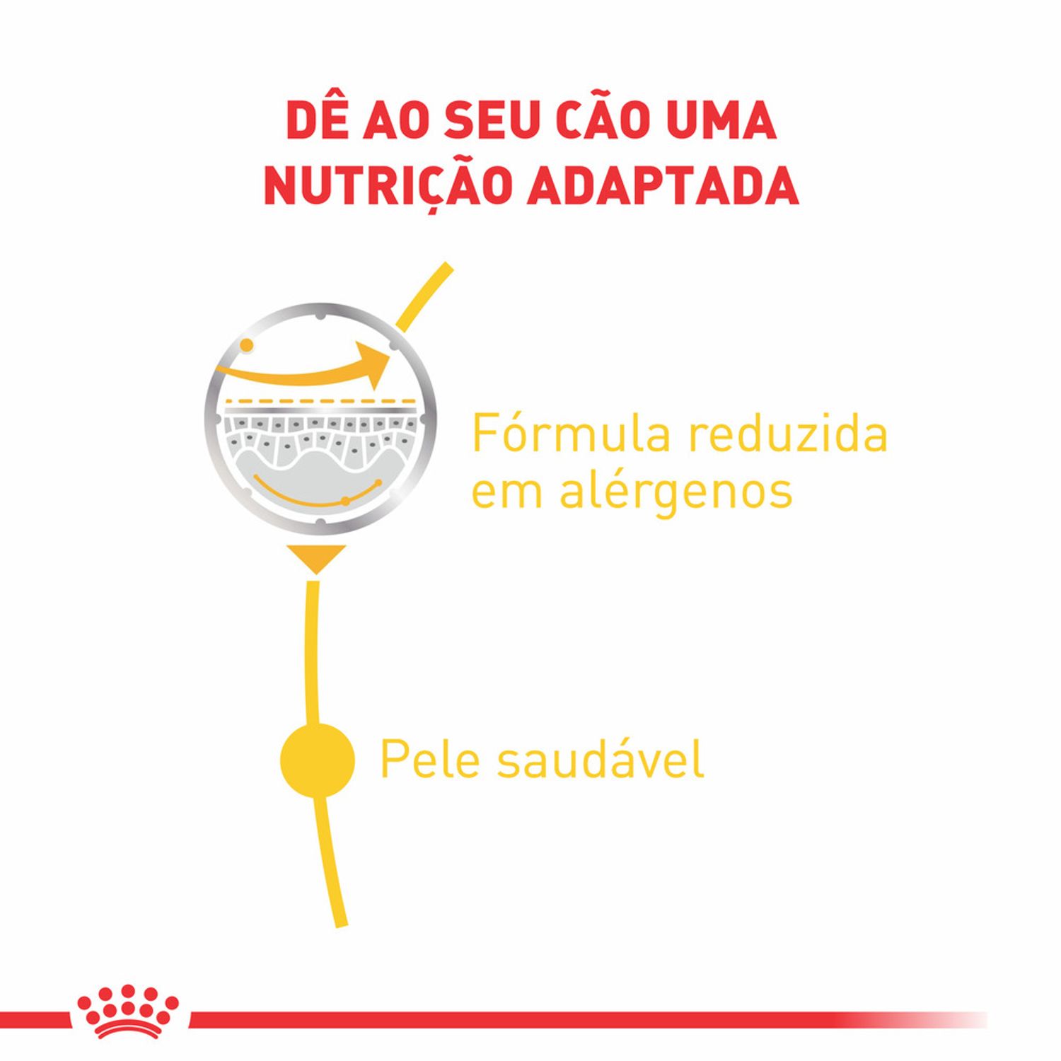Racao-Umida-Royal-Canin-Sache-Dermacomfort-Caes-Adultos-Beneficios