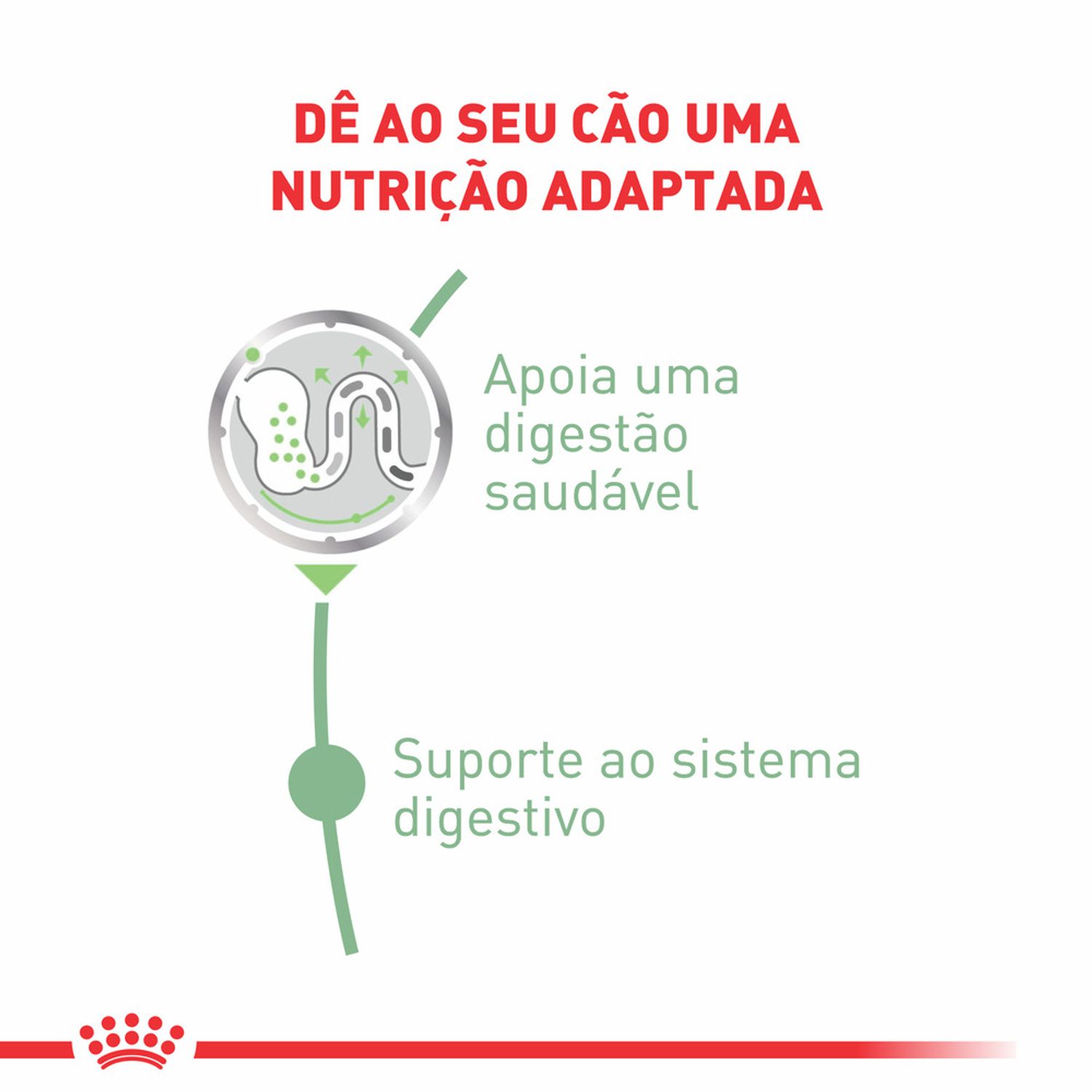 Racao-Umida-Royal-Canin-Sache-Cuidado-Digestivo-Caes-Adultos-Beneficios-