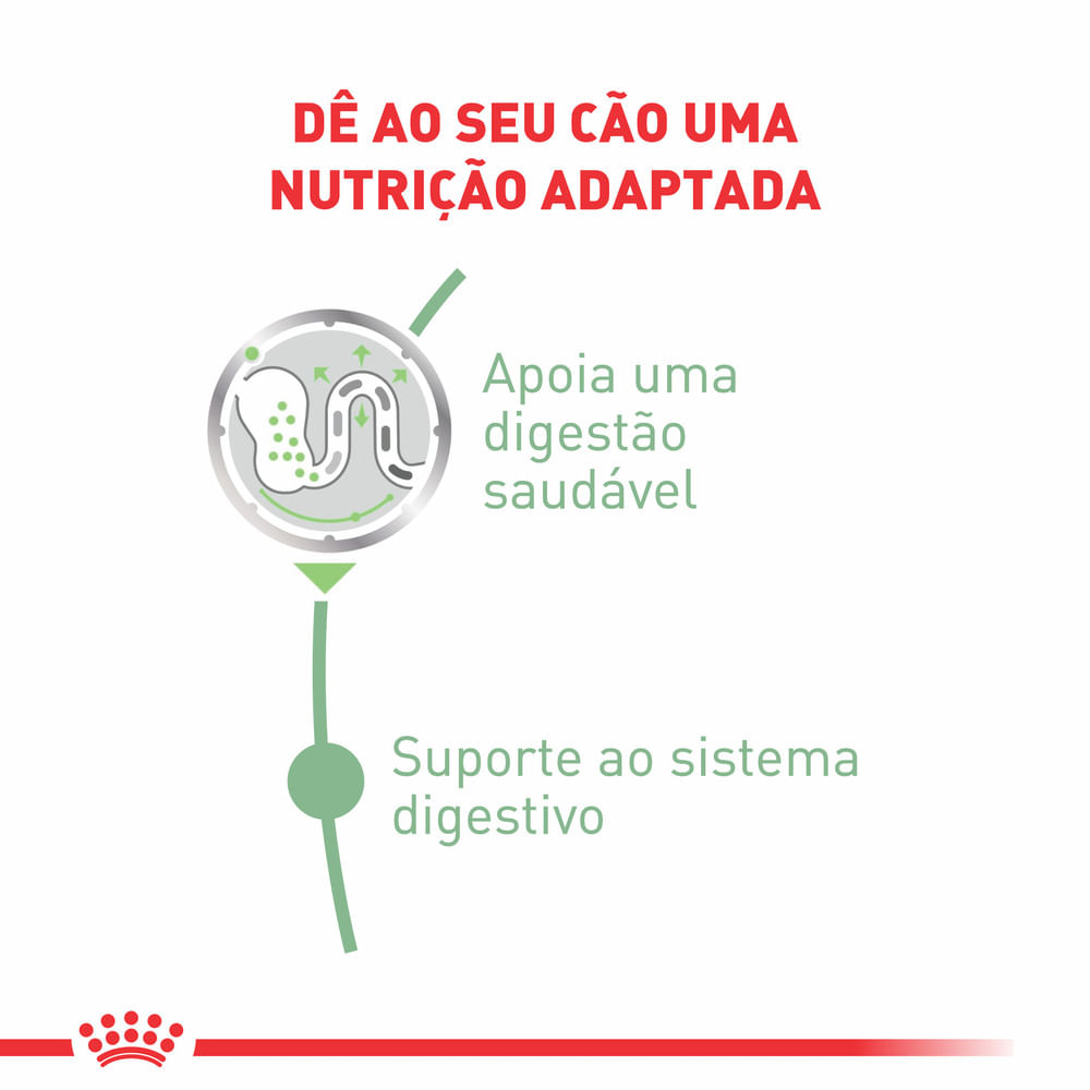 Ração Úmida Royal Canin Cuidado Digestivo Cães Adultos