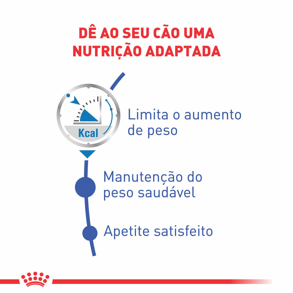 Ração Úmida Royal Canin Light Weight Care Cães Adultos