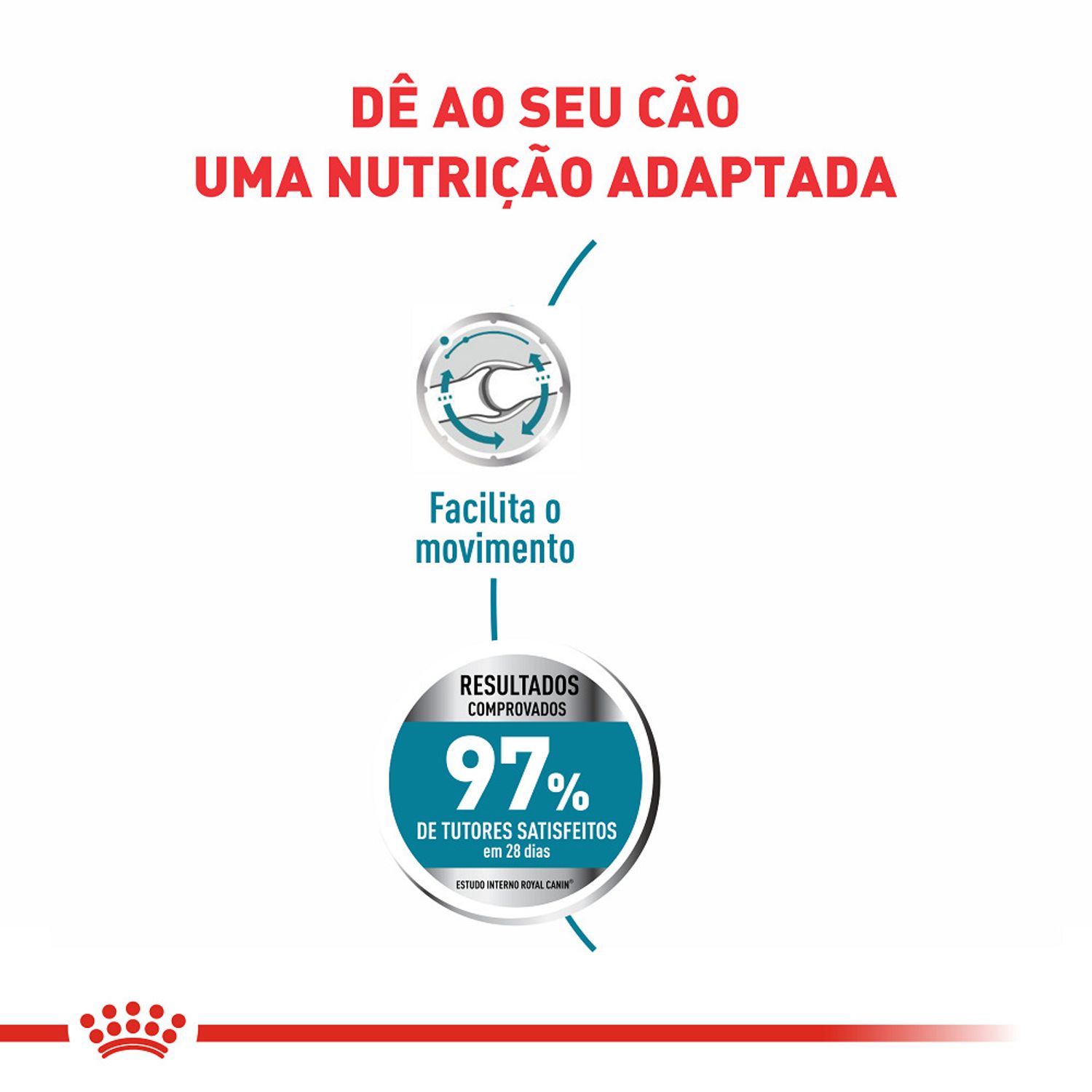 Ração Royal Canin Maxi Cuidado Articular Cães Adultos  benefícios
