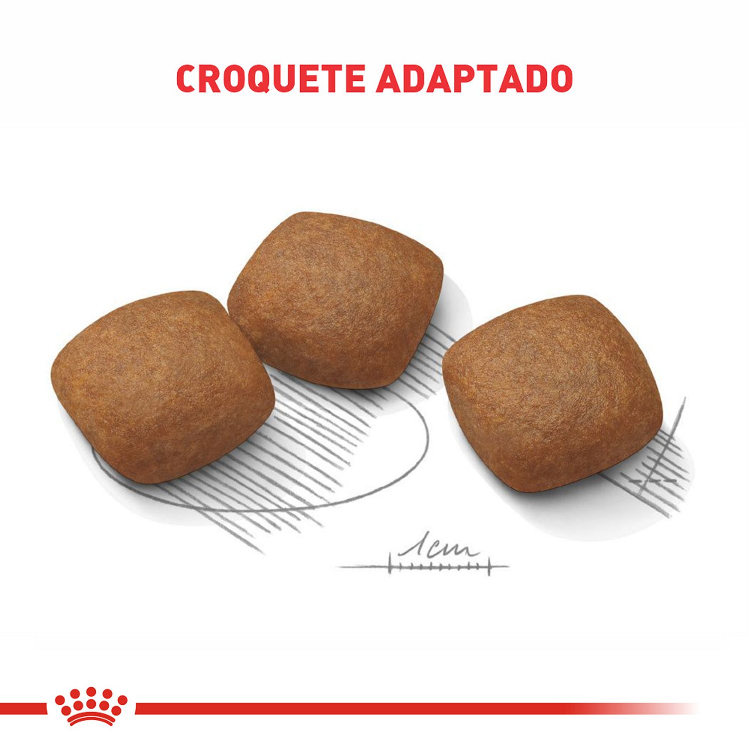 Ração Royal Canin Maxi Cuidado Articular Cães Adultos grãos