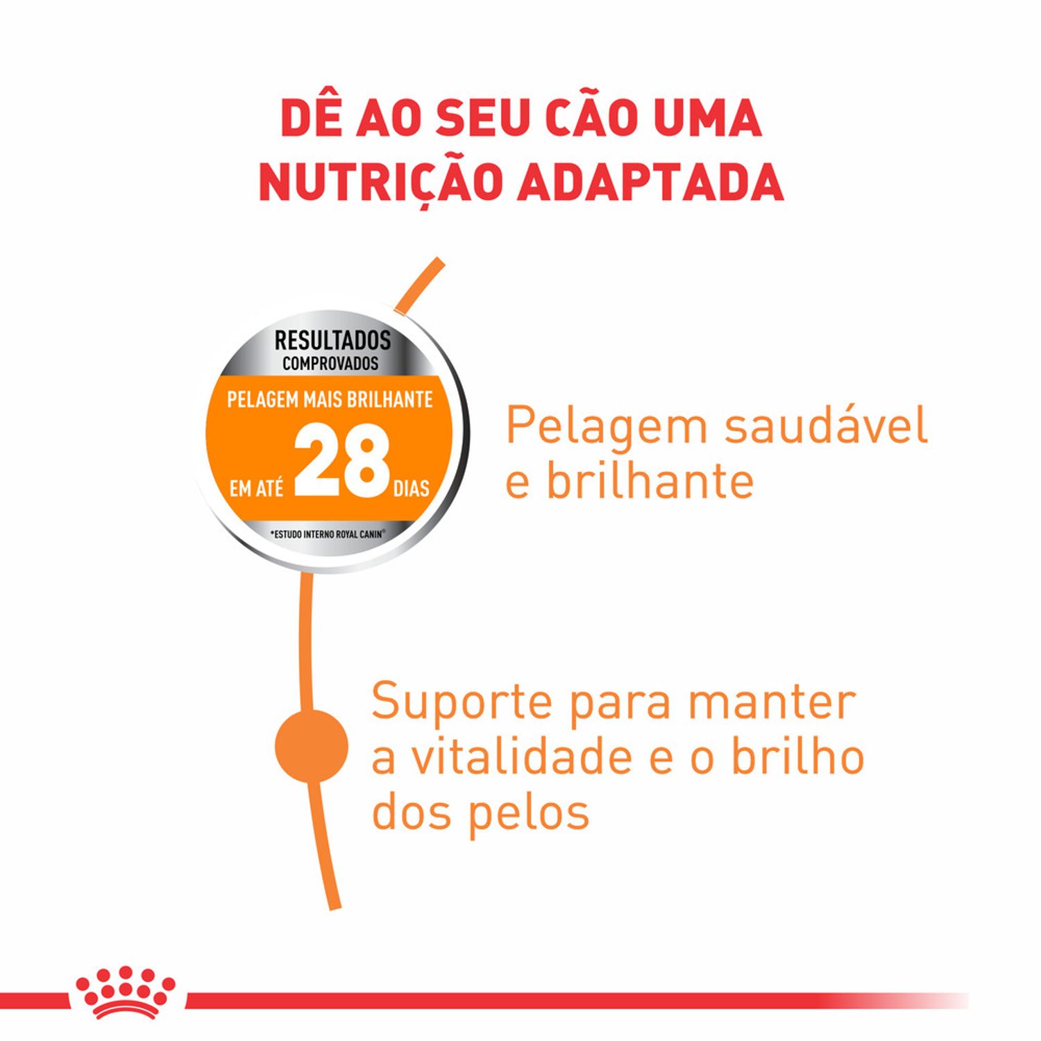 Racao-Royal-Canin-Cuidado-da-Pelagem-Caes-Adultos